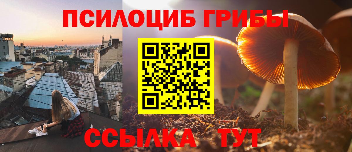 Псилоцибиновые грибы Cubensis  где найти наркотики  Балашиха  Вход с VPN 